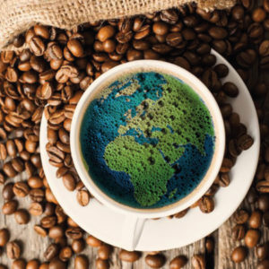 CAFEDESLANGUES-45x45 CAFEDESLANGUES-45x45